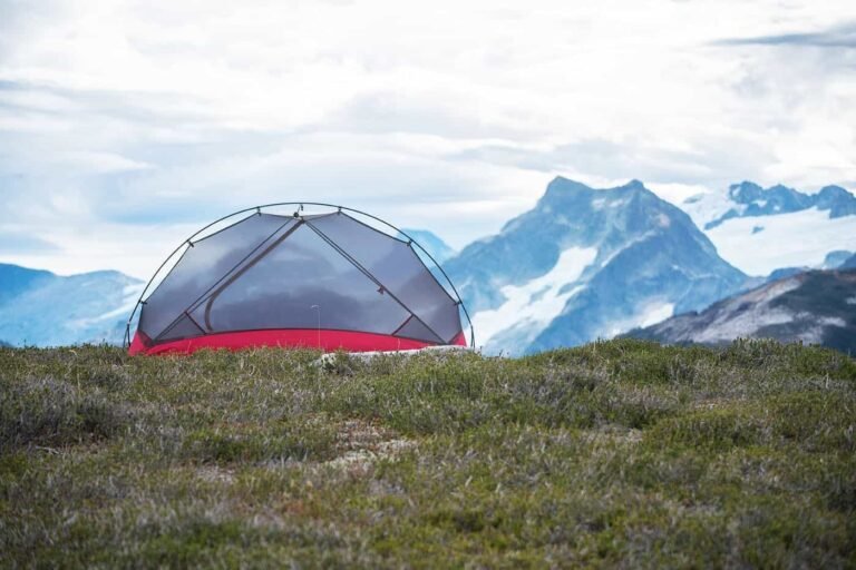 Conquer Bear Country with Confidence